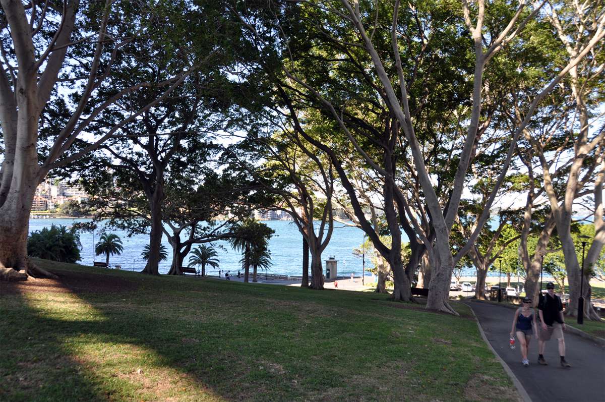 213_sydney_the_rocks