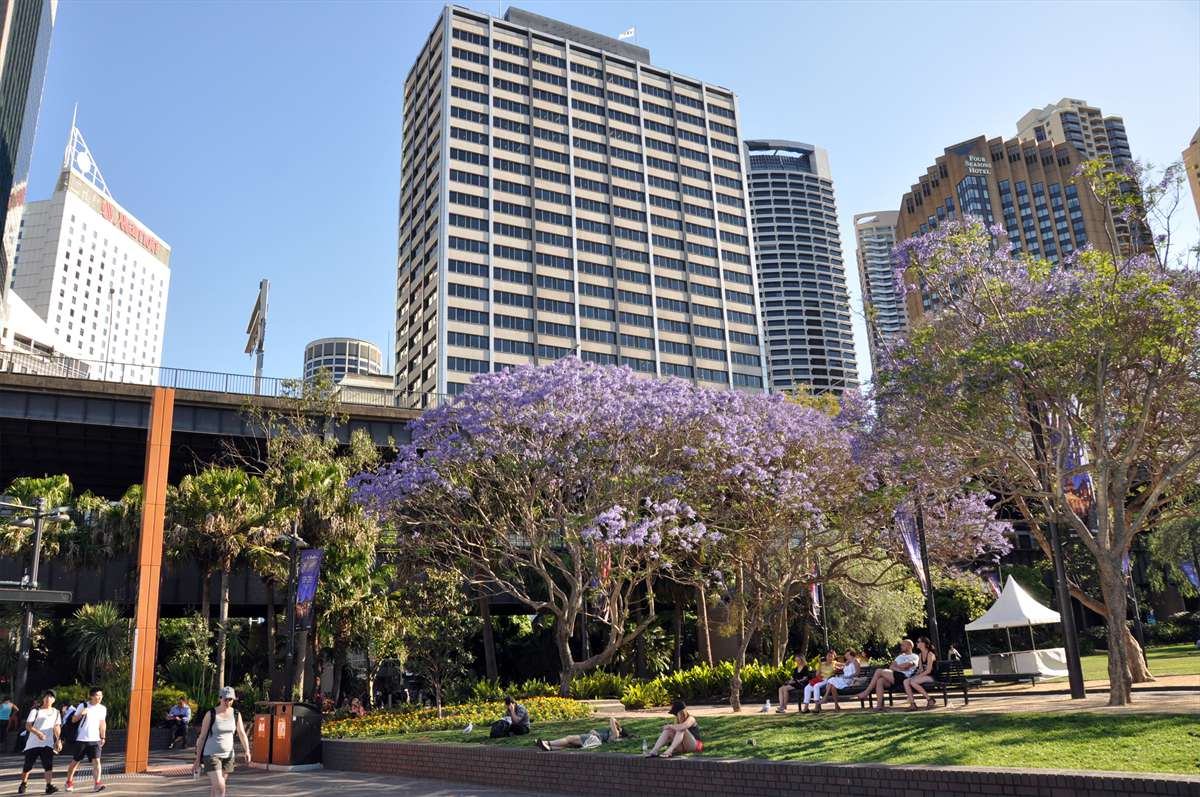 283_sydney_circular_quay