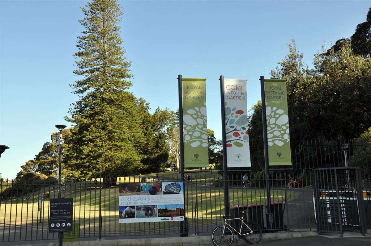 297_sydney_botanischer_garten