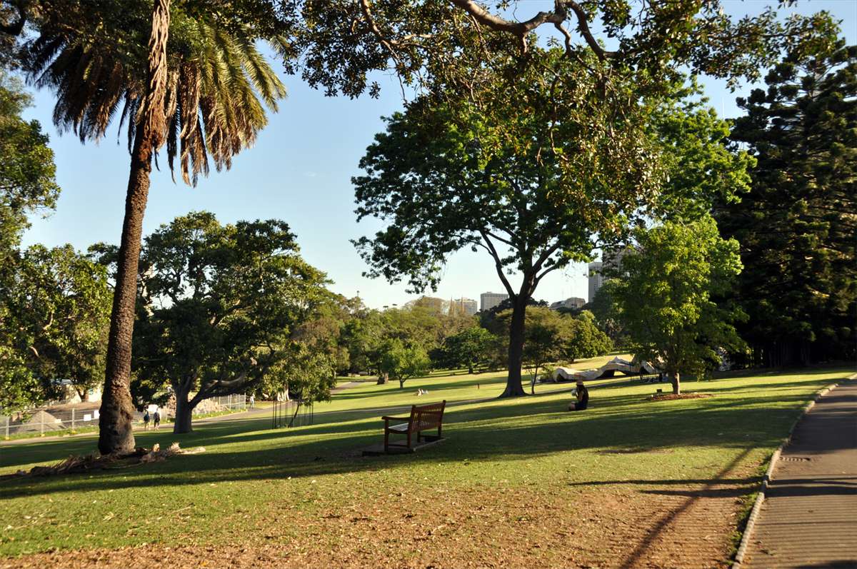 314_sydney_botanischer_garten